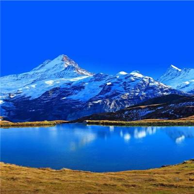 B体育·(sports)官方网站