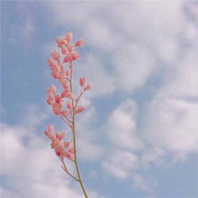 百姓彩票app下载