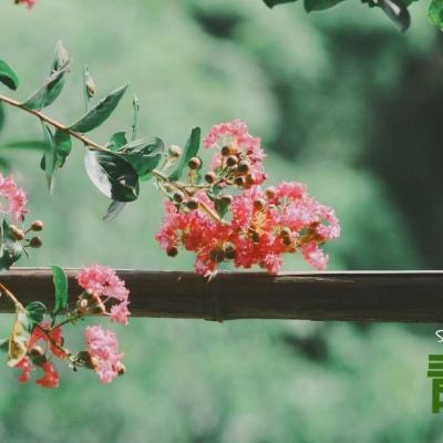 米博体育网站官网版官方入口