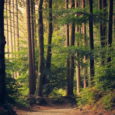 亚博棋牌app下载