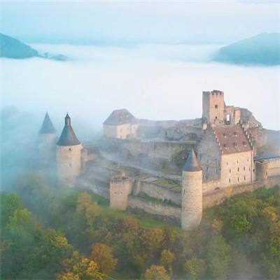 皇家88下载手机版